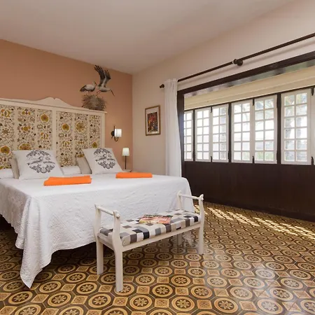 Amazing Canarian To Rent By Tenerife Ltd Villa *