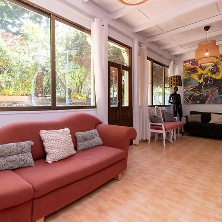 Amazing Canarian To Rent 아데제