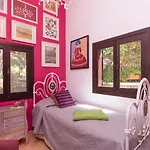 Amazing Canarian To Rent *